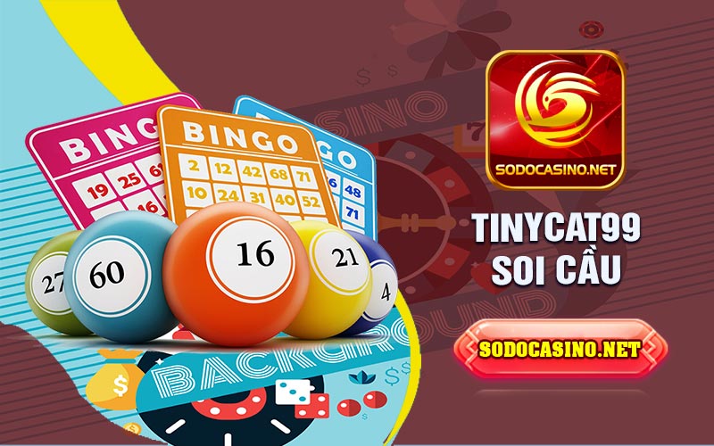 Tinycat99 Soi Cầu| Cẩm Nang Hữu Ích Bạn Có Thể Đánh Bại Nhà Cái Trực Tuyến